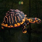 Articulated Box Turtle Fidget Figurine Desk Accessory 3D Printed