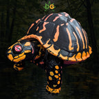 Articulated Box Turtle Fidget Figurine Desk Accessory 3D Printed
