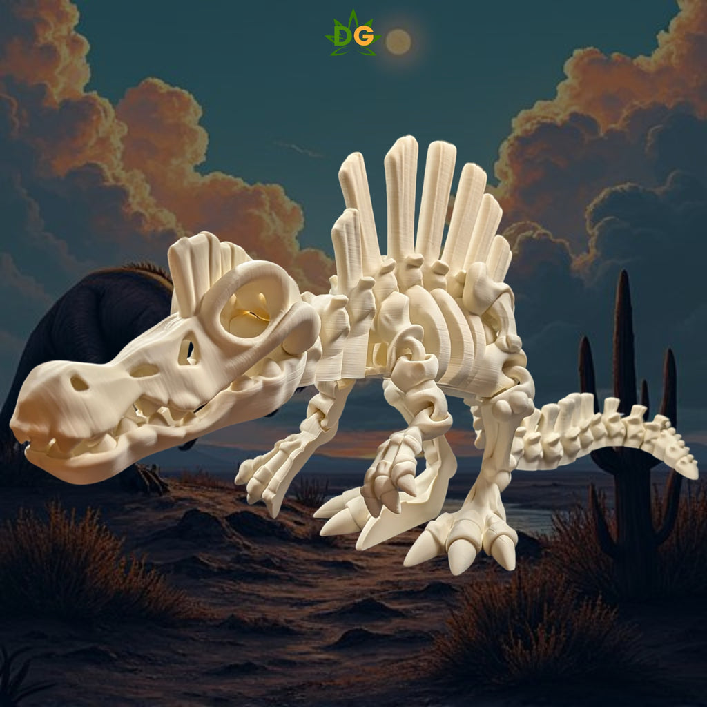 XL Articulated Spinosaurus Skeleton Figurine
