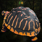 Articulated Box Turtle Fidget Figurine Desk Accessory 3D Printed