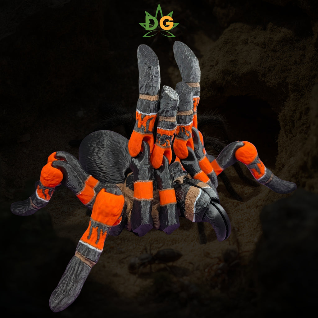 Mexican Red Knee Tarantula 3D Printed Spider