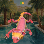 Colorful Sunkissed Peach Bearded Dragon Flexi with a swimming pool behind him and palm trees